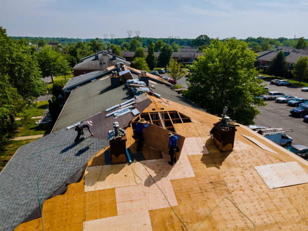 Best Residential Roofing Contractor  in Mcewen, TN