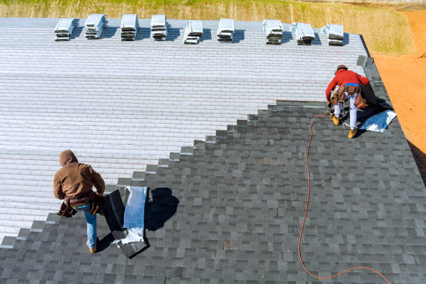 Best Roof Waterproofing Services  in Mcewen, TN