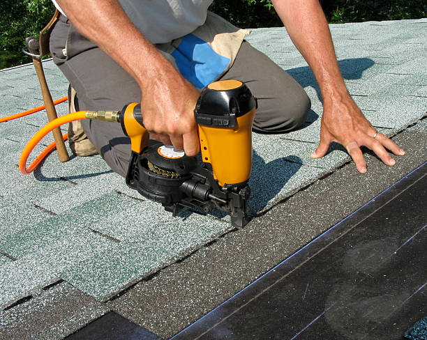 Best New Roof Installation  in Mcewen, TN