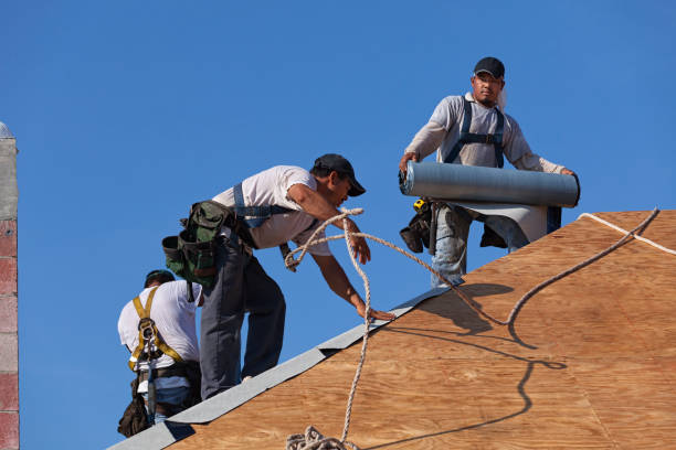 Roof Gutter Cleaning in Mcewen, TN