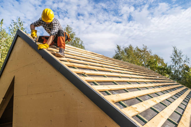 Best Roof Gutter Cleaning  in Mcewen, TN