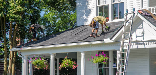 Best Roof Leak Repair  in Mcewen, TN