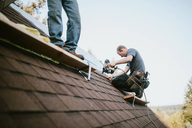 Best Roof Maintenance Services  in Mcewen, TN