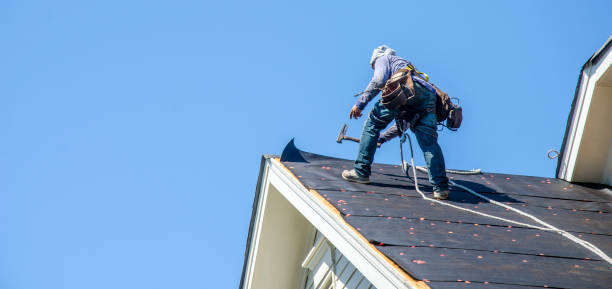 Best Storm Damage Roof Repair  in Mcewen, TN